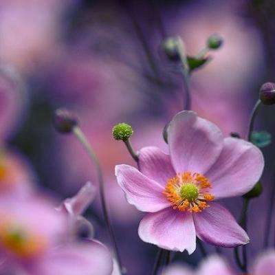 好运彩下载手机版