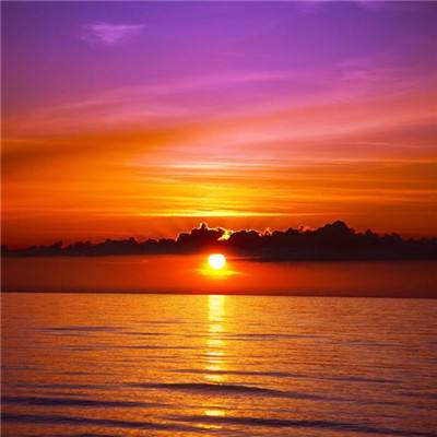 澳门王中王100%的资料手机app下载