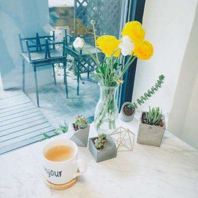 澳门一码一肖一特一中下载手机版