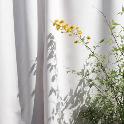 江南体育app官方入口