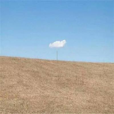 大发黄金版888下载下载手机版